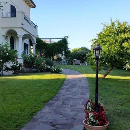Villa Luce B&B 올비아 외부 사진
