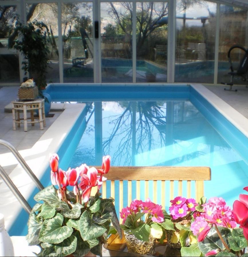 Villa Luce B&B 올비아 외부 사진