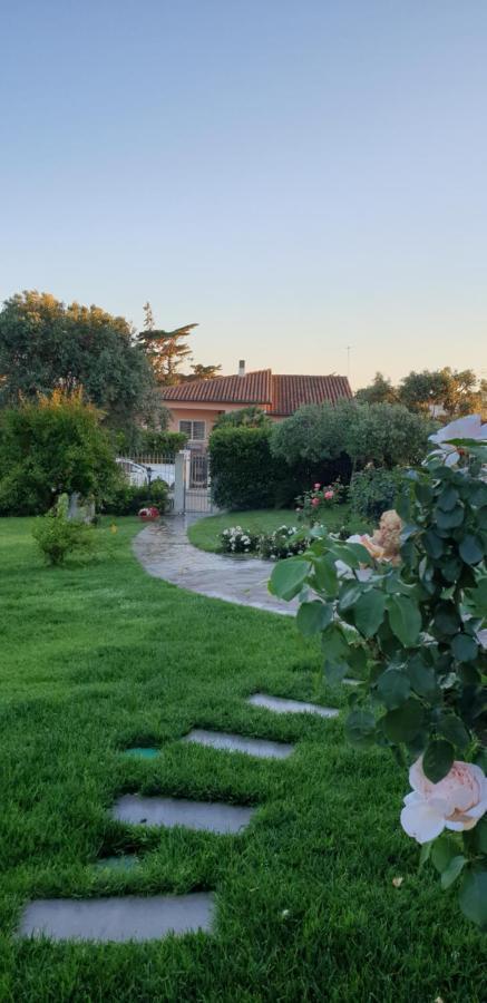 Villa Luce B&B 올비아 외부 사진